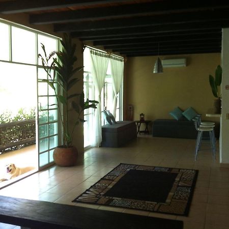 Casa Guacamaya Palenque Exterior photo